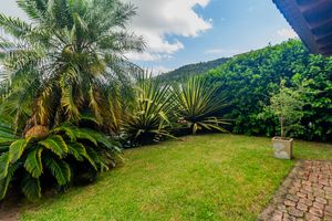 Image 66 - 845895