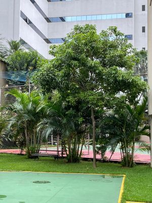 Image 34 - 846154