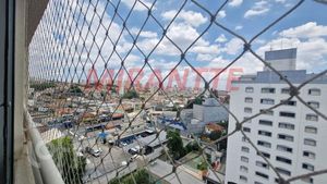Image 16 - 846166