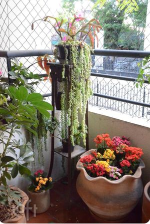 Image 7 - 846276