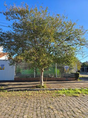 Image 10 - 846519