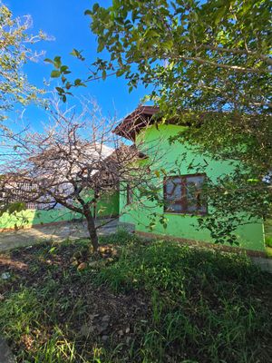 Image 9 - 846519