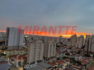 Image 8 - 846710
