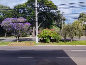 Image 8 - 846784