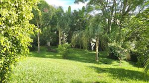 Image 14 - 847569