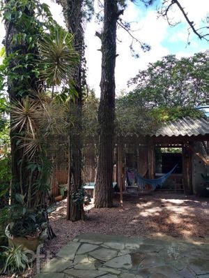 Image 5 - 847731