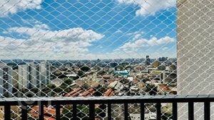 Image 8 - 848278