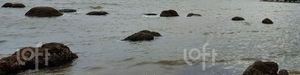 Image 35 - 848313