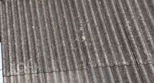 Image 44 - 848313