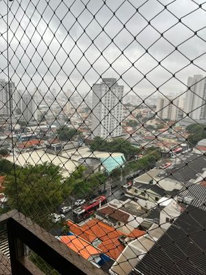 Image 7 - 848578