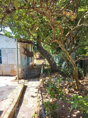 Image 25 - 848596