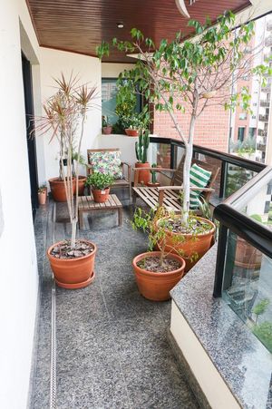 Image 7 - 849053