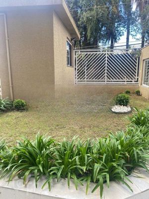 Image 19 - 849056
