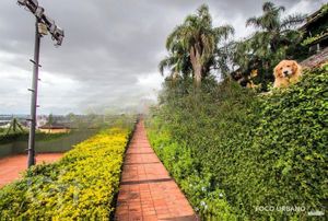 Image 86 - 849678