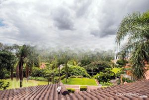 Image 75 - 849678