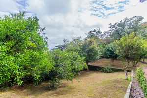 Image 74 - 849757