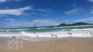Image 15 - 850014