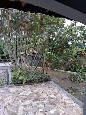 Image 10 - 850019