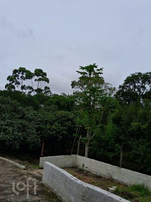 Image 12 - 850019