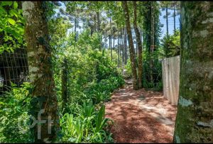 Image 8 - 850207
