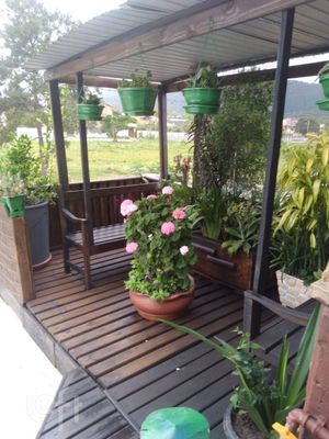 Image 19 - 850272