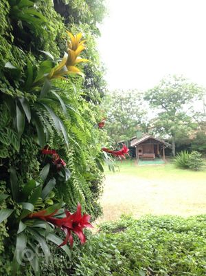 Image 53 - 850361