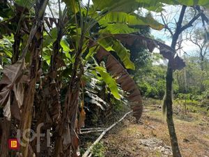 Image 15 - 851378