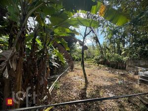Image 5 - 851378