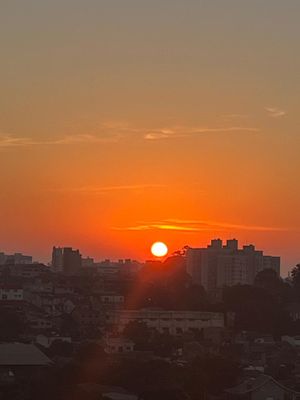 Image 17 - 852177