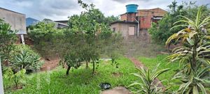 Image 9 - 852324