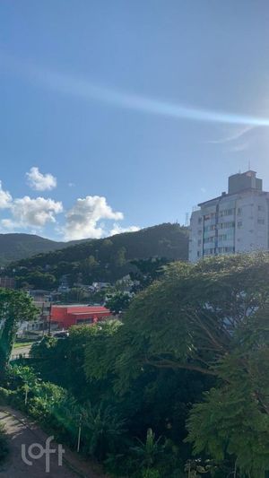 Image 13 - 852523