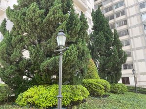 Image 19 - 852559