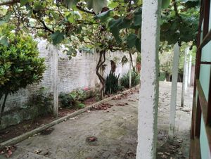 Image 17 - 852563