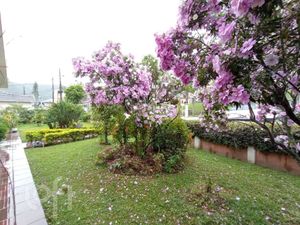 Image 4 - 853200