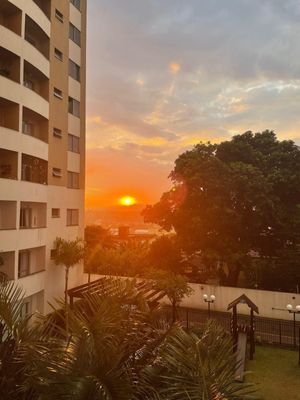 Image 17 - 853254