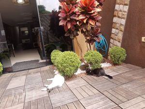Image 7 - 853455