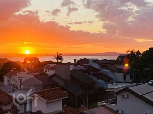 Image 16 - 853545