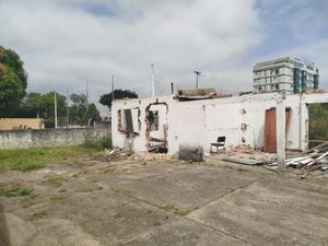 Image 4 - 853747