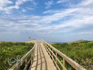 Image 18 - 853804