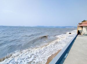 Image 14 - 854062
