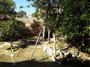 Image 38 - 854080