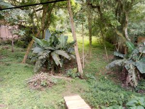 Image 15 - 854157