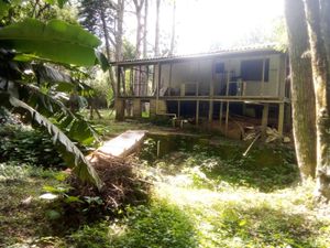 Image 8 - 854157