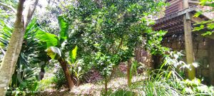 Image 13 - 854220