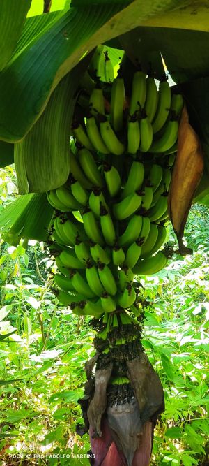 Image 14 - 854220