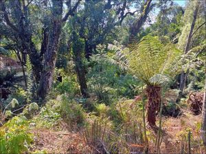 Image 3 - 854348