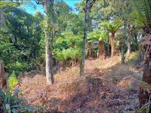 Image 4 - 854348