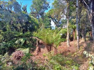 Image 5 - 854348