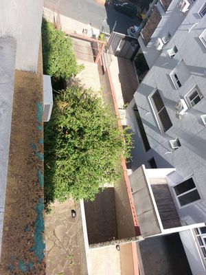 Image 36 - 854491