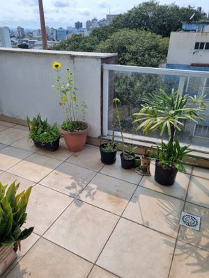 Image 19 - 854594